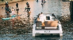 velvet-33-beluga-photo