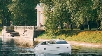 velvet-33-beluga-photo